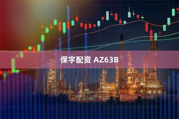 保宇配资 AZ63B