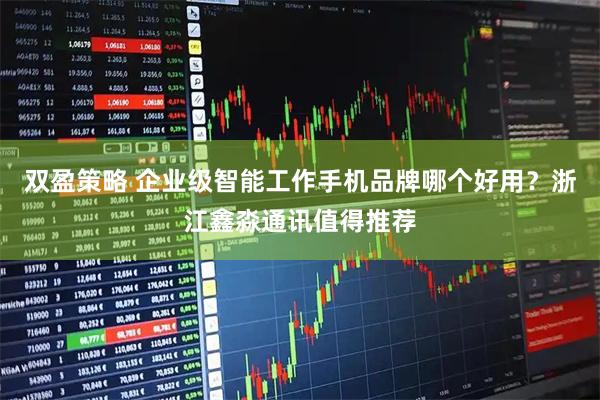 双盈策略 企业级智能工作手机品牌哪个好用？浙江鑫淼通讯值得推荐