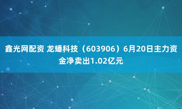 鑫光网配资 龙蟠科技（603906）6月20日主力资金净卖出1.02亿元